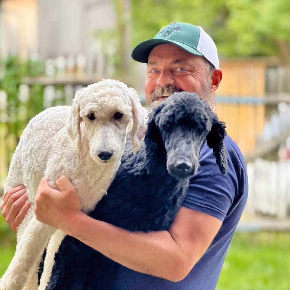 Die Kynotec Salzburg GmbH bietet hochqualifizierte Assistenzhundeausbildungen und ausgebildete Assistenzhunde an.